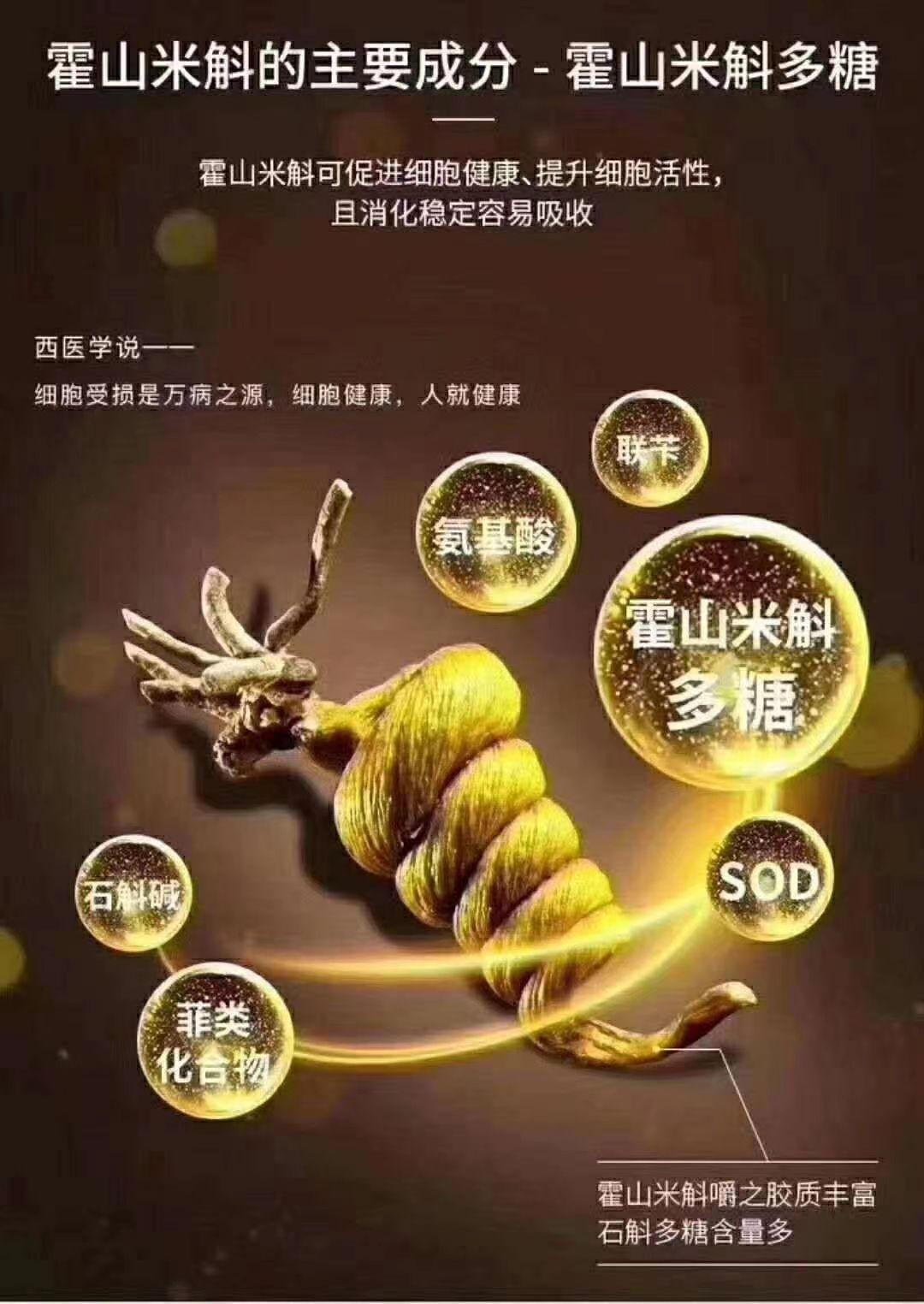 1679302258740798.jpeg